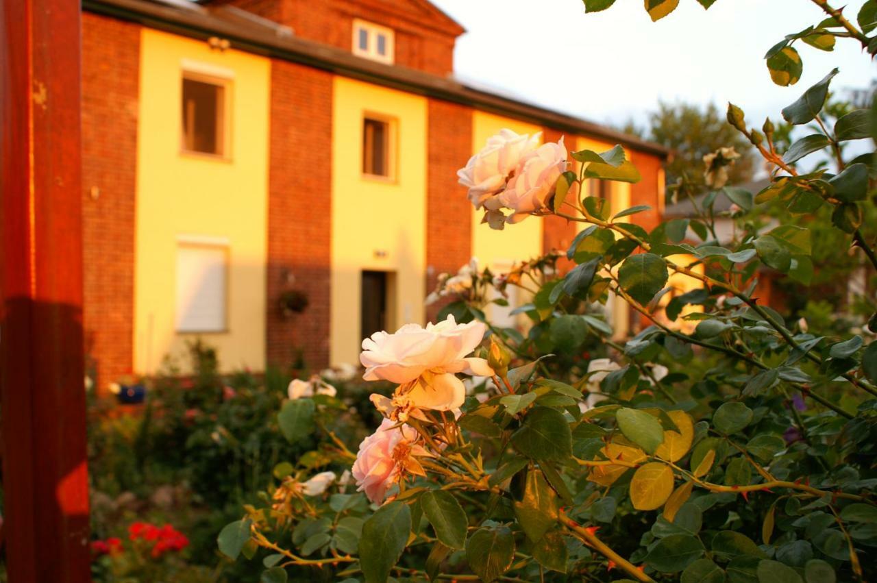Ferienwohnungen Amselweg Brandenburg  Esterno foto